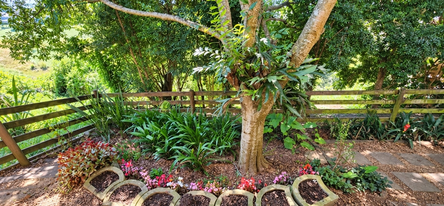 3 Bedroom Property for Sale in King George Park Western Cape